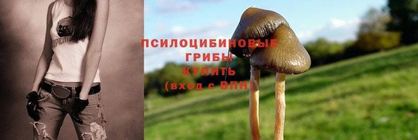 прущие грибы Киреевск
